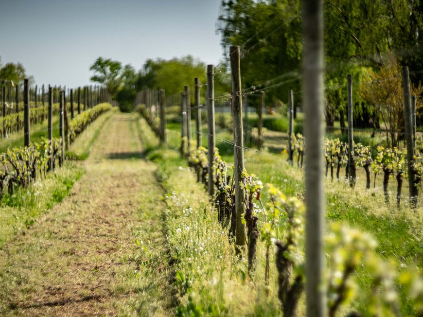 Gut essen am Gardasee im Hotel mit 4-Sternen Gut essen am Gardasee im Hotel mit 4-Sternen
