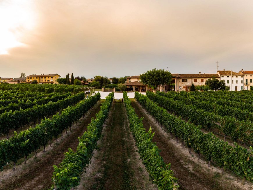 Hotel sul Lago di Garda: una vacanza di esperienze Hotel sul Lago di Garda: una vacanza di esperienze