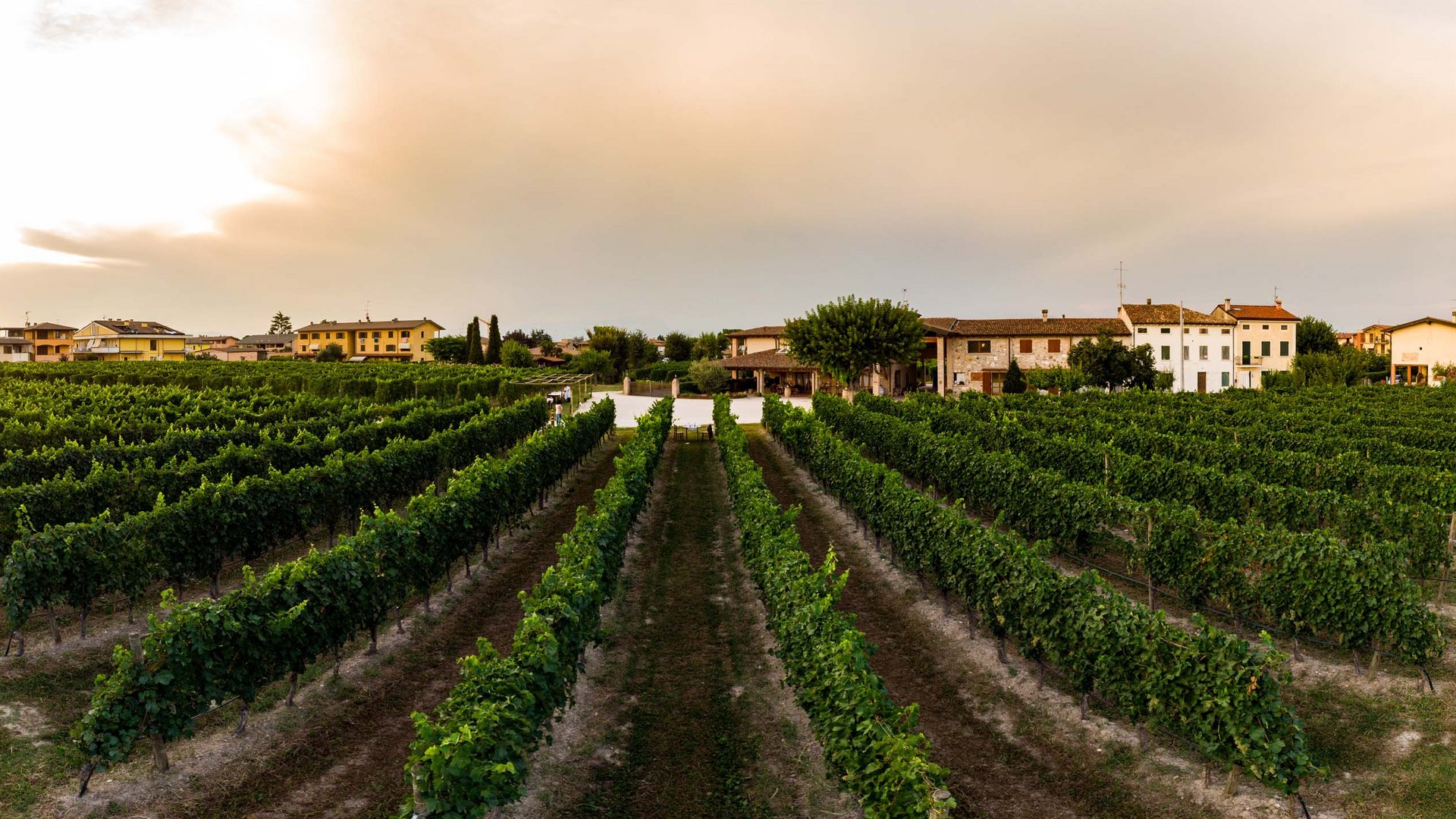 Hotel sul Lago di Garda: percorsi enogastronomici